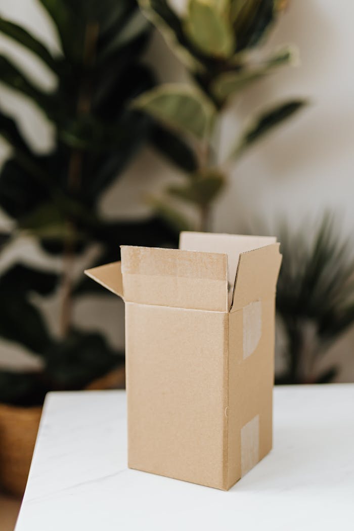 Cardboard box on table in room with plants